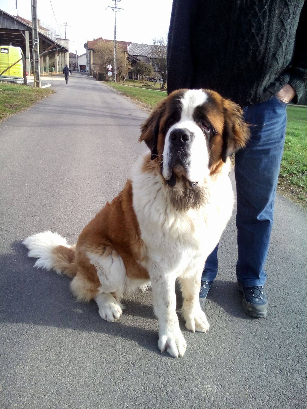 Mirabelle dit meije des Cinq Epis