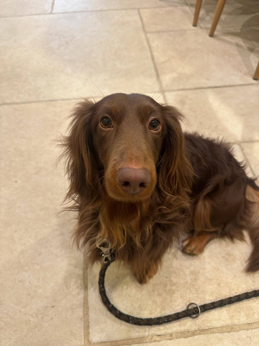 Tokyo Of Moonlight Blue