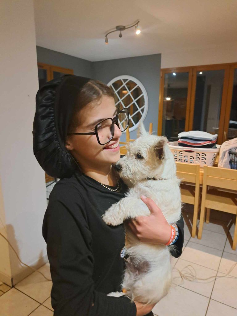 un petit mâle reste disponible à l'adoption 